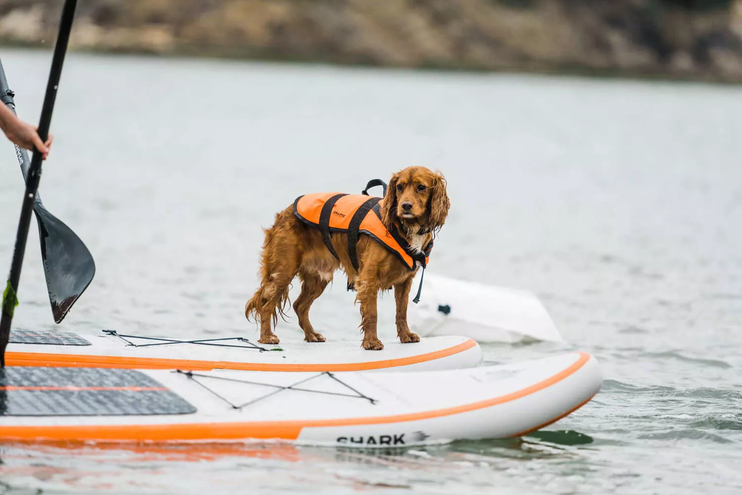 Доска SUP надувная Shark All-Round 10'8"х34"х5" (2022) вид 9