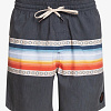 Шорты мужские Quiksilver Sun Faded 17 черные