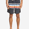 Шорты мужские Quiksilver Sun Faded 17 черные