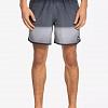 Мужские бордшорты Quiksilver MASSIVE SCALLOP, черные