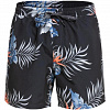 Мужские шорты Quiksilver Paraexpvl15, черные