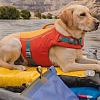 Спасательный жилет для собак RUFFWEAR® Красный