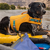 Спасательный жилет для собак RUFFWEAR® Жёлтый