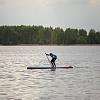 Надувной сапборд Shark Speed+ 14'x26x5 (2026)
