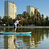 Рашгард мужской SUP face белый, короткий рукав (XXXL)