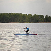Надувной сапборд Shark Speed+ 14x28x6 (2026)