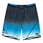 Шорты мужские Quiksilver Surfsilk 20 (sslknwave20 m bdsh kvj6 black)