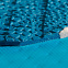 Доска SUP надувная для сплава Aqua Marina Rapid 9'6" (2023) вид 5