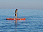 SUP face Basic 10'8"x32"x6"