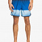 Шорты плавательные мужские Quiksilver Massive Scallop синие вид 3