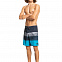 Мужские бордшорты Quiksilver Surfs Panel, черные вид 1