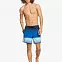 Шорты плавательные мужские Quiksilver Massive Scallop синие вид 2