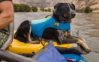Спасательный жилет для собак RUFFWEAR® Жёлтый вид 8