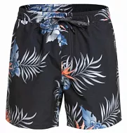 Мужские шорты Quiksilver Paraexpvl15, черные