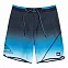Шорты мужские Quiksilver Surfsilk 20 (sslknwave20 m bdsh kvj6 black)