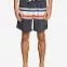 Шорты мужские Quiksilver Sun Faded 17 черные вид 1