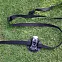 Ремень для шайбы Adapter Strap for Base Plate вид 1