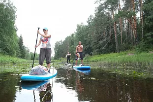 Однодневный сплав по р. Медведица ЛАЙТ (15 км)