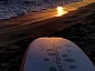 Shark Surf 10.6
