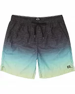 Шорты мужские Billabong All Day Faded Laybacks синие