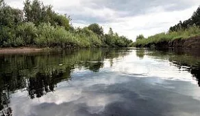 Марафон Orsha Black Water в Тверской области
