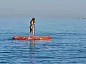 SUP face Basic 10'8"x32"x6"