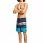 Мужские бордшорты Quiksilver Surfs Panel, черные вид 1