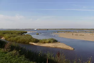 SUP-сплав по Волге под Нижним Новгородом
