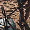 Доска SUP надувная Anomy the way of Desegin 10'6" вид 1