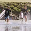 Доска SUP надувная Shark Race 14'x25” 2021 вид 5