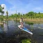 Жесткий сапборд Starboard Waterline Lite Tech 12'6" x 28" (2025) вид 7