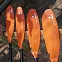 Весло для доски алюминиевое TAHE 23 PADDLE SUP BEACH ALU FIX 190 вид 2