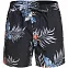 Мужские шорты Quiksilver Paraexpvl15, черные