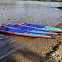 Сапборд надувной Shark Speed+ 14'x28x6 (2025) вид 23