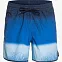 Шорты плавательные мужские Quiksilver Massive Scallop синие
