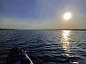 Крутой сап, крутая команда!