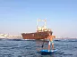 12.6 на 27 Шарк