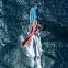 Доска для виндсерфинга Starboard Isonic Slalom 85 Carbon Reflex Sandwich вид 1