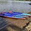 Сапборд надувной Shark Speed+ 14'x26x6 (2025) вид 26
