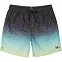 Шорты мужские Billabong All Day Faded Laybacks синие