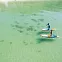 Сапборд надувной Jp-Australia CruisAir 11’6"x30"x6" SL (2025) вид 9