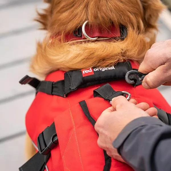 Жилет спасательный для собак RED ORIGINAL Dog PFD red вид 5