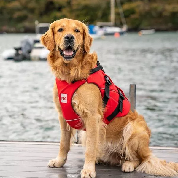 Жилет спасательный для собак RED ORIGINAL Dog PFD red вид 4