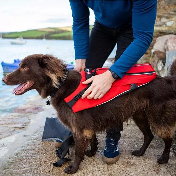 Жилет спасательный для собак RED ORIGINAL Dog PFD red вид 3