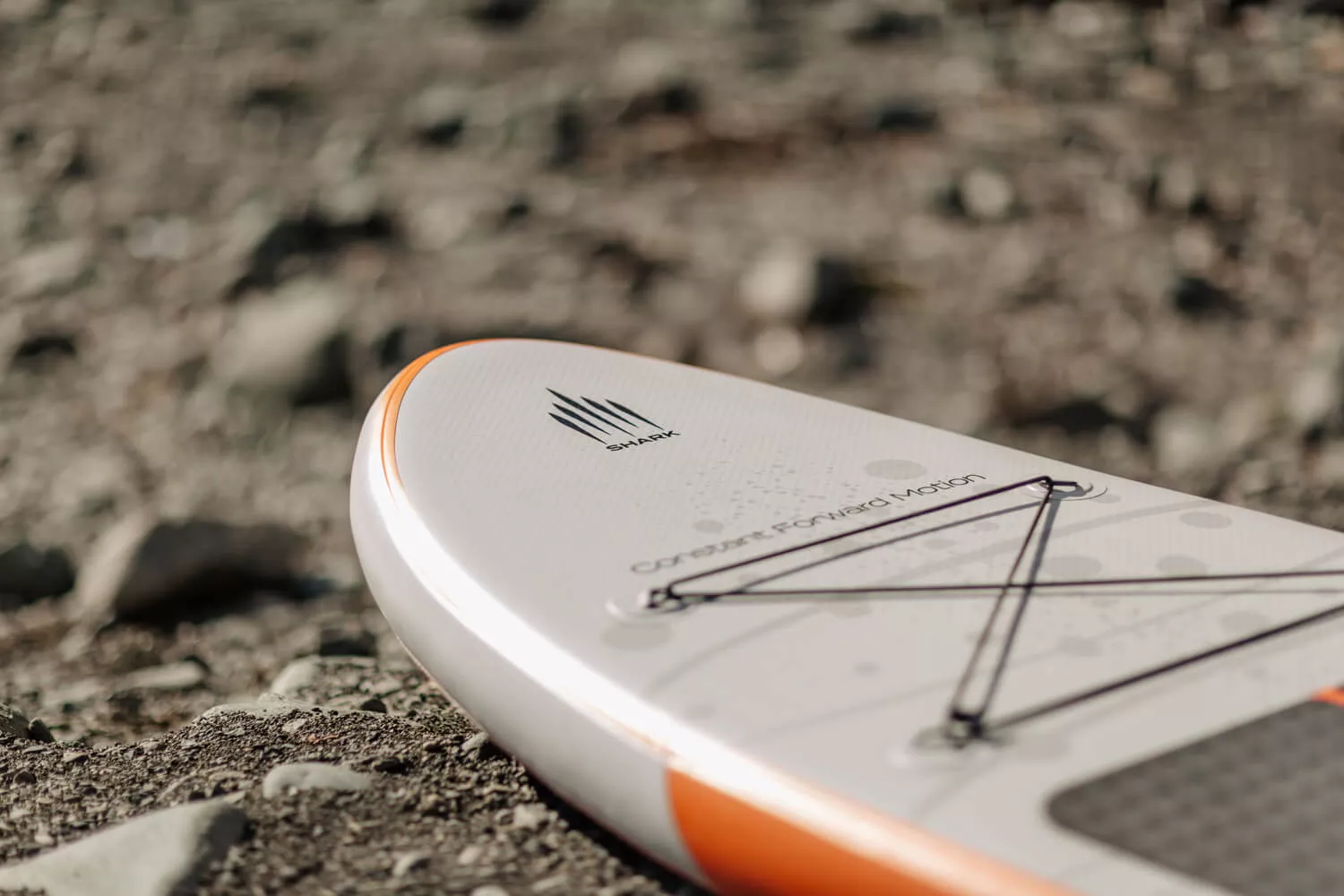Shark SUP 2022 Shark SUP 2022