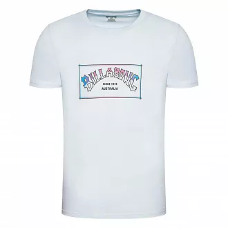 Футболка мужская Billabong Arch голубая